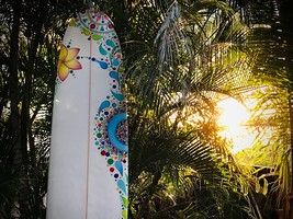 Surfboard Custom